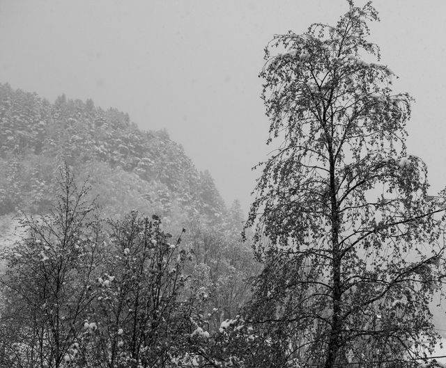 Snøvær.